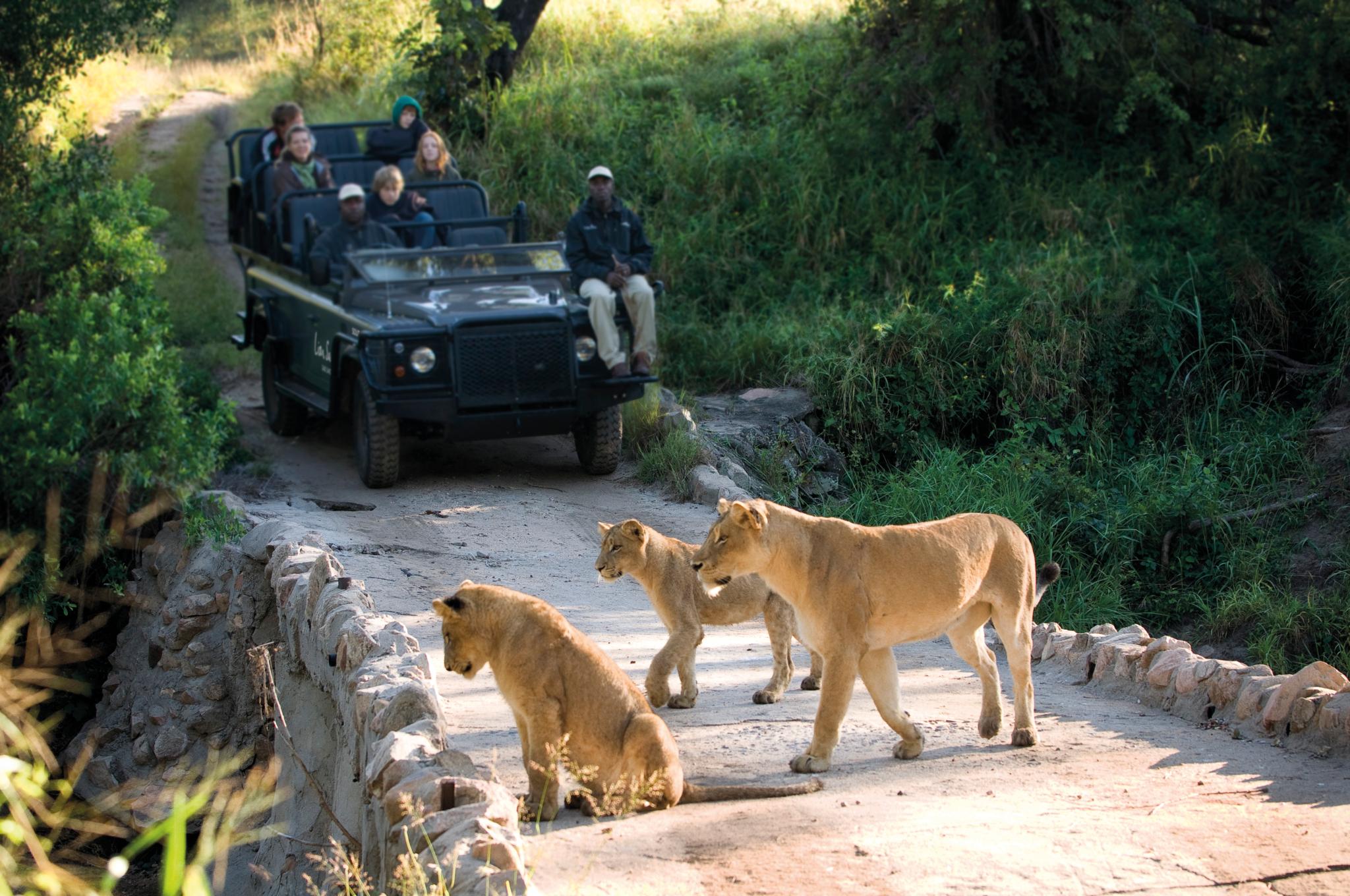 Lion Sands Narina Lodge Réserve privée de Sabi Sand Extérieur photo