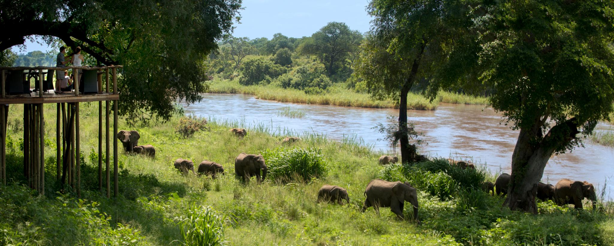 Lion Sands Narina Lodge Réserve privée de Sabi Sand Extérieur photo