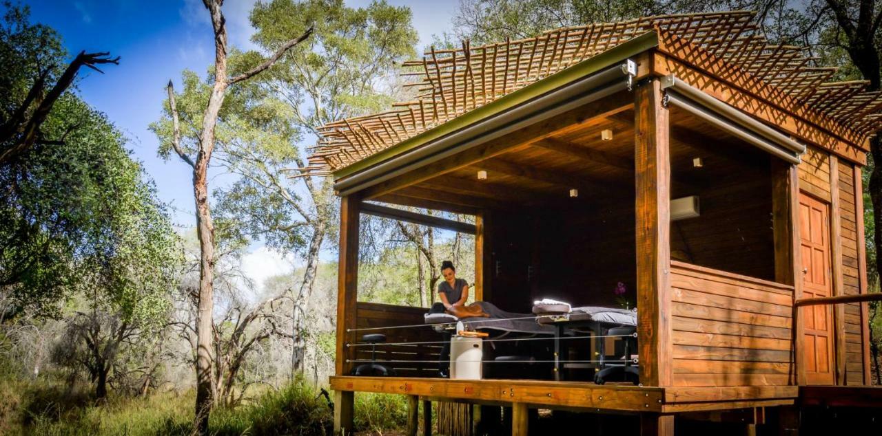 Lion Sands Narina Lodge Réserve privée de Sabi Sand Extérieur photo